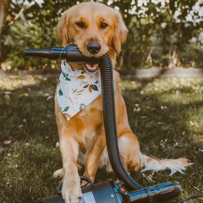 NoMoreBark™️ - Premium Grooming Machine